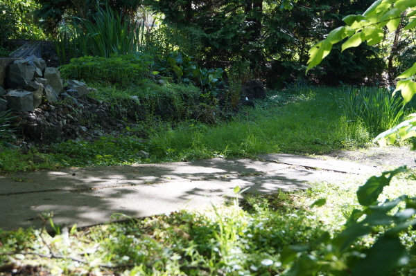 DSC00533 DSC00533
