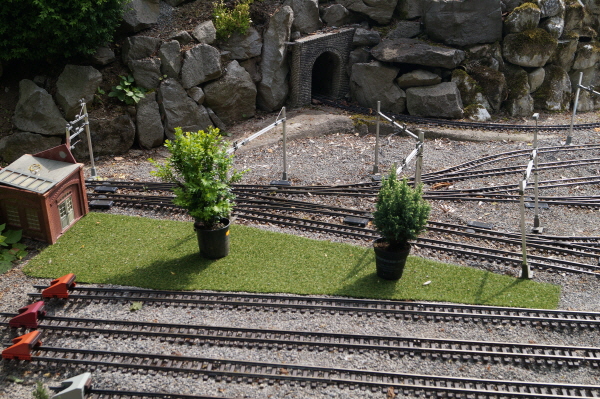 DSC00560 DSC00560