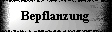 Bepflanzung