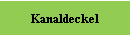 Kanaldeckel