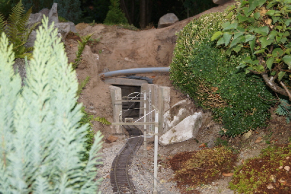 DSC00176