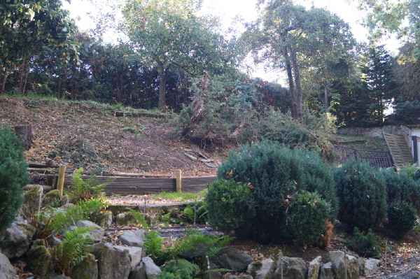 DSC00239