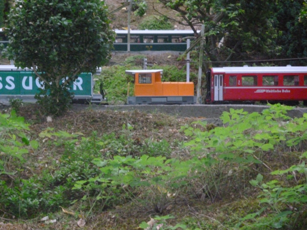 P1010785