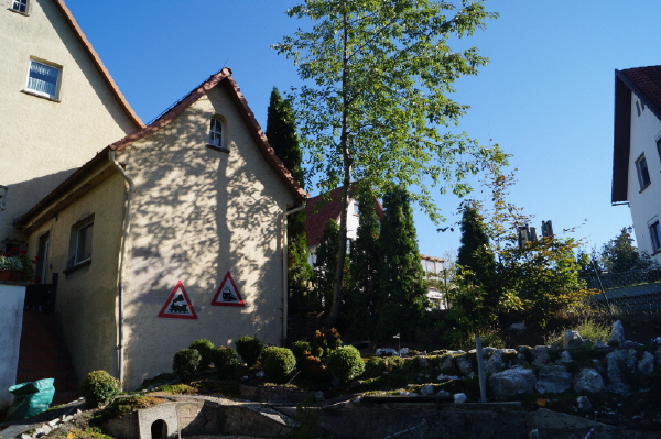 DSC00235 DSC00235