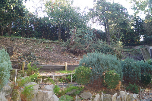DSC00240 DSC00240