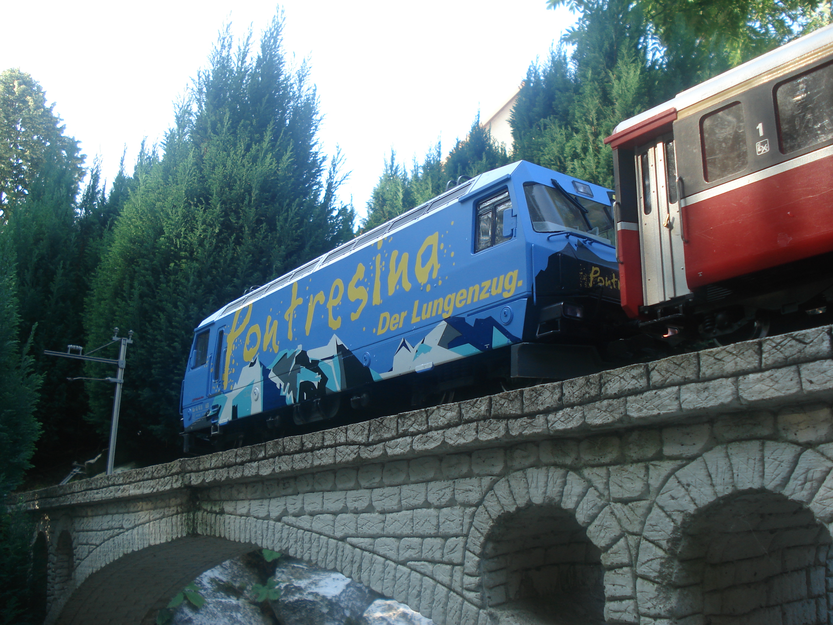 DSC00556 DSC00556