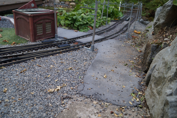 DSC00796 DSC00796