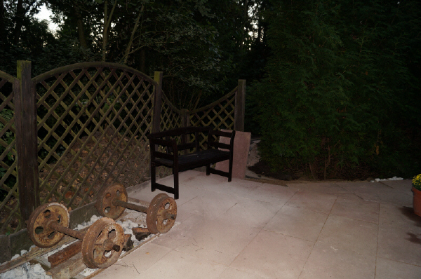 DSC01313 DSC01313