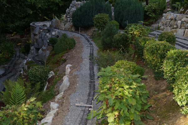 DSC01424 DSC01424
