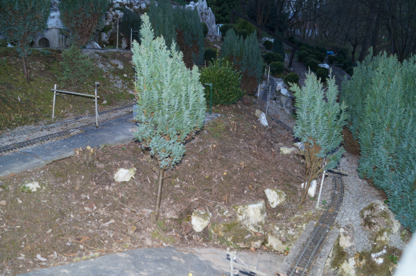 DSC02135 DSC02135