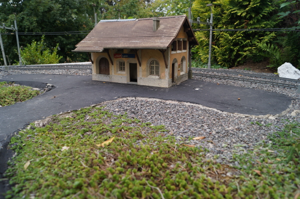 DSC04624 DSC04624