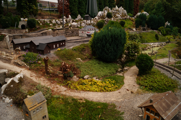 DSC07384
