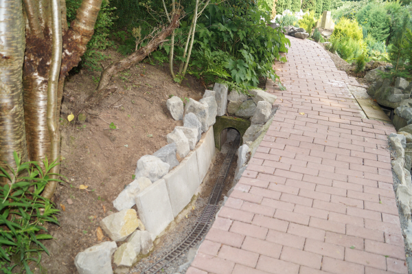 DSC08904