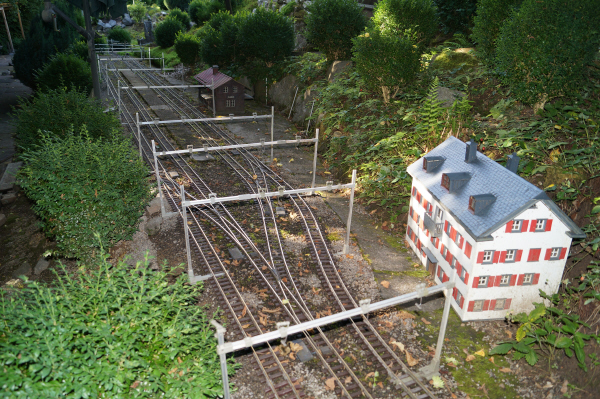 DSC08910