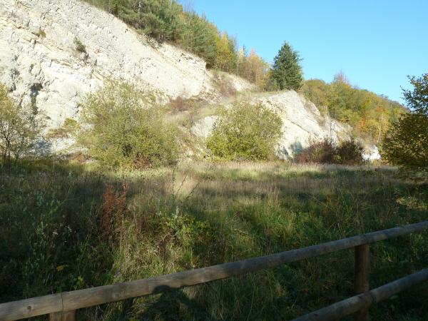 P1000652