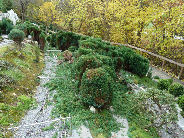 P1000757