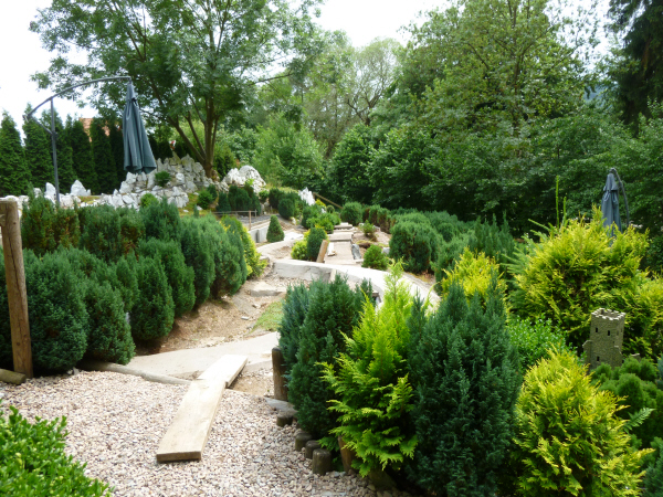 P1010482