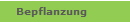 Bepflanzung