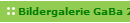 Bildergalerie GaBa 2017