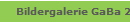 Bildergalerie GaBa 2017
