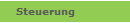 Steuerung