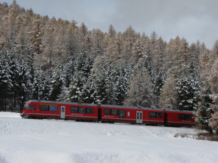 a_IMG_2324_NTZ_20091109_cb_allegra