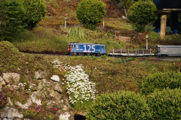 DSC08565