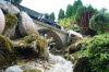 DSC08984